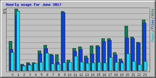 Hourly usage for June 2017